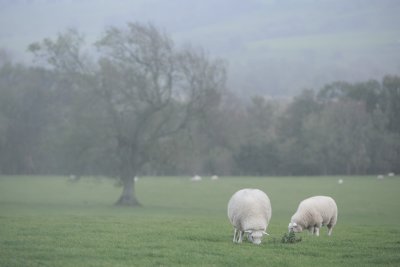 20111017 - Wet n Windy