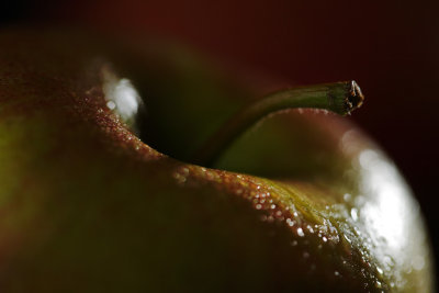 20120228 - Apple