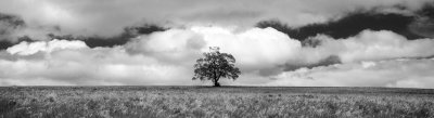 20120428 - Lone Tree