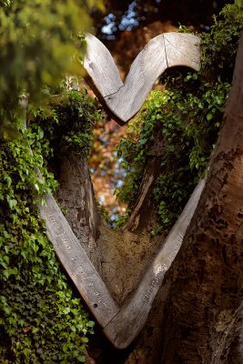 20120529 - Wooden Heart