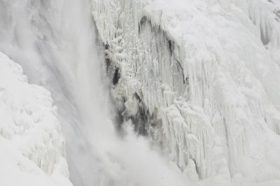 _DSC0891