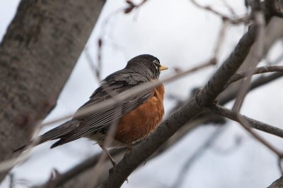 _DSC8122