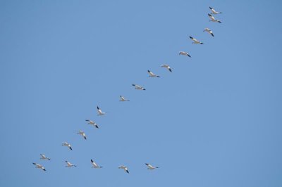 _DSC8255