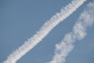 _DSC0598