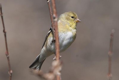 _DSC1842