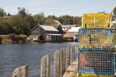 Seal Cove and Museum de Sardines