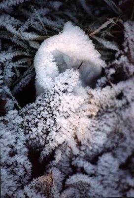 baptist babydress of snow-ice