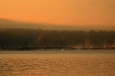 Misty morning