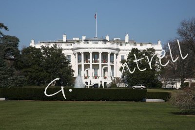 Washington D.C.