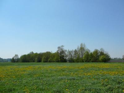 meadows