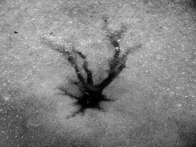 Abstract Ice Pattern