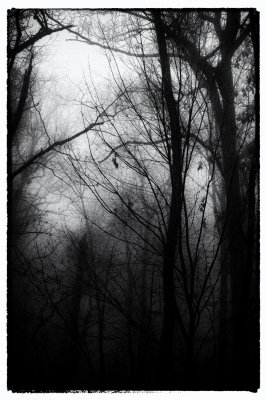 Dark Patterns