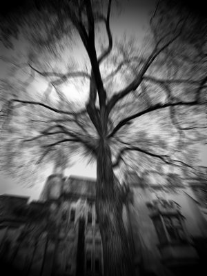 Blurred Memories