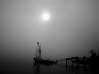 Fog and Mist 1