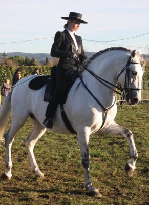 Hohe Schule / classical dressage
