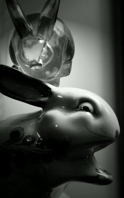 The Rabbit's Conscience