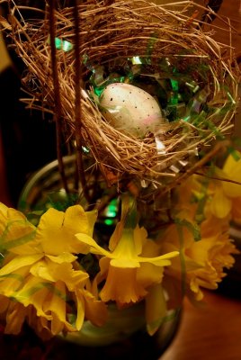 Nest Study With Easter Grass