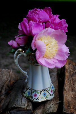 A Vase Of June