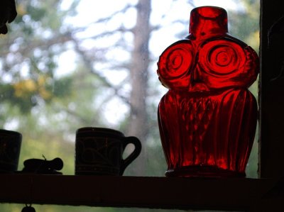 Owl Bottle, Windowsill
