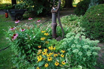 Garden Around The Old Kitchen Well