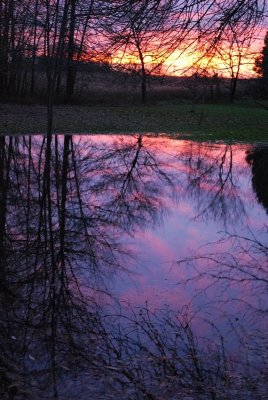 Sunset Reflections, November