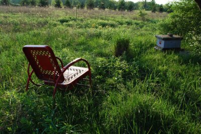 Lazy Evening With The Honeybees