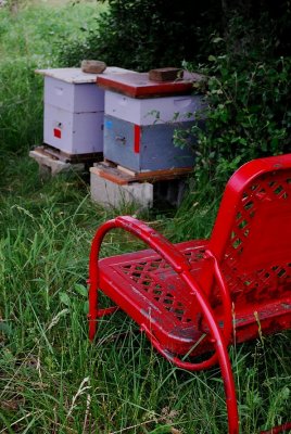 Honeybee Condos