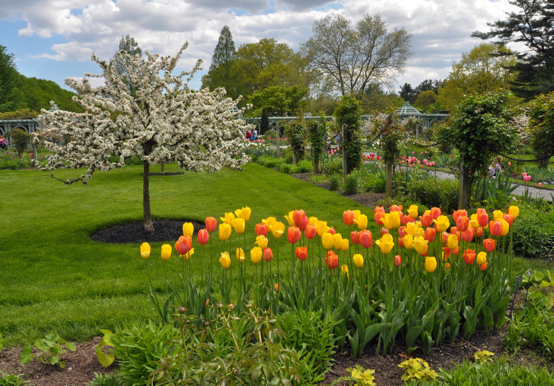 Old Westbury Gardens