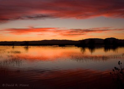Sunset over the marsh