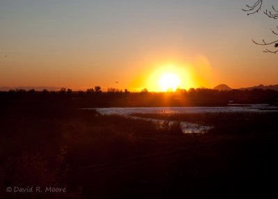 Sunrise