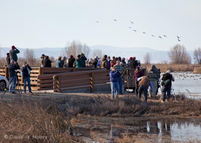 Viewing platform and guests