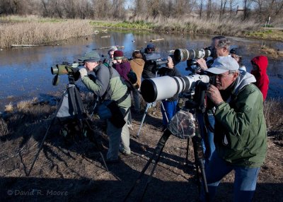 Some of the many lenses ...