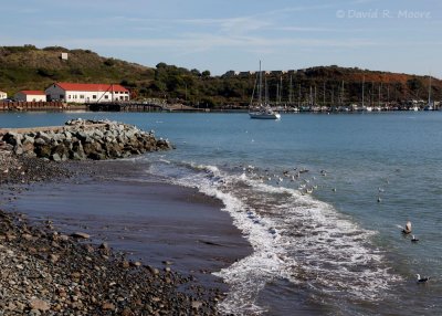 Beach at Fort Baker