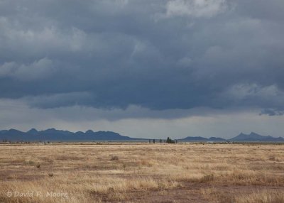 Rain over Sulphur Springs Valley