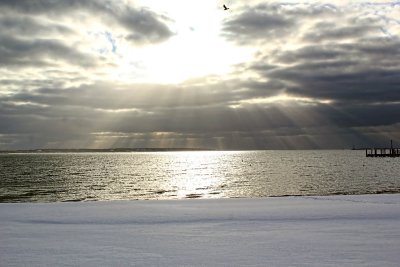 Bay Sun Rays