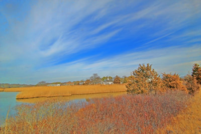 IMG_5164.JPG Across from Keyes Beach