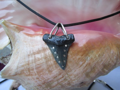Inlay shark tooth with sterling silver