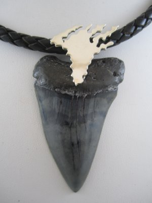 sharktooth w/Chesapecke Bay bail in SS