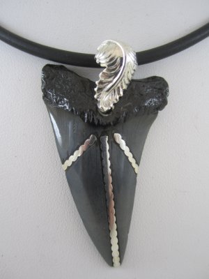 Inlay sharktooth in sterling silver