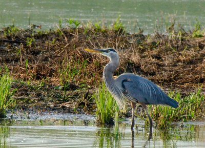 GBH_D7K2068-Web.jpg