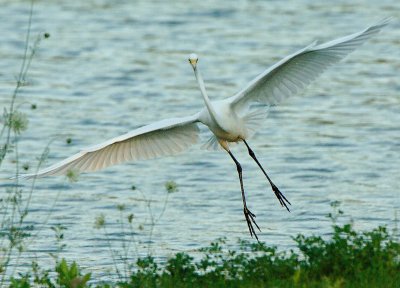 GWE_6263.jpg