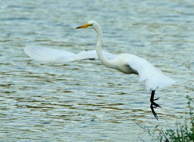 GWE_6266.jpg