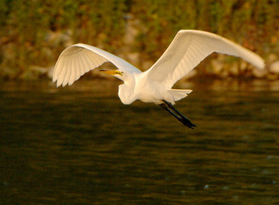 GWE_6269.jpg