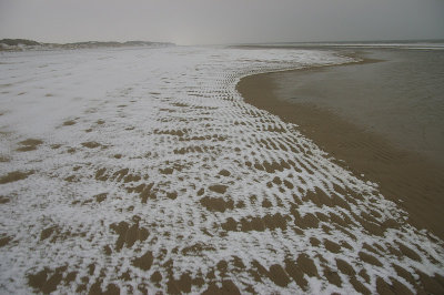 IMGP8581.jpg