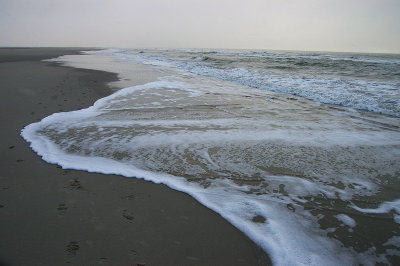 IMGP9129.jpg