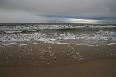 IMGP9142.jpg
