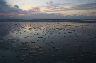 IMGP9227.jpg