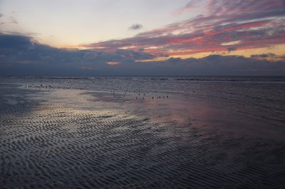 IMGP9265.jpg