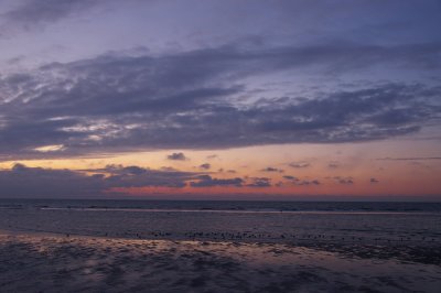 IMGP9292.jpg