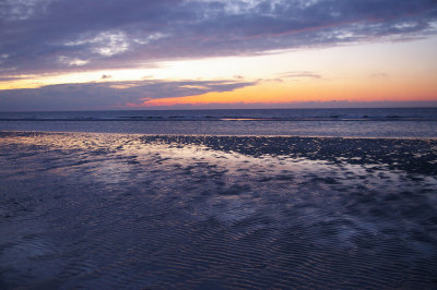 IMGP9323.jpg